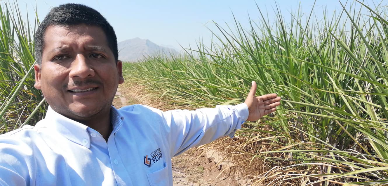 Porfirio Flores Vílchez - Estudio de Control Biológico